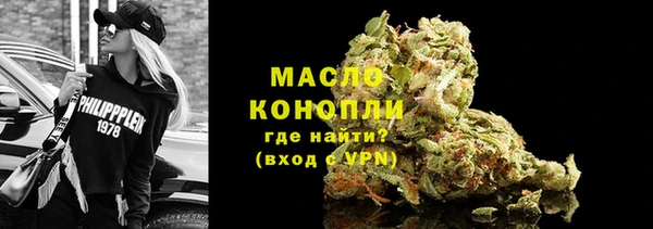 сатива Беломорск