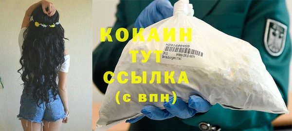 сатива Беломорск