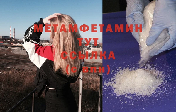 сатива Беломорск