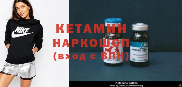 сатива Беломорск