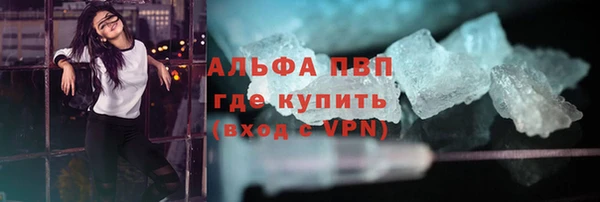 сатива Беломорск