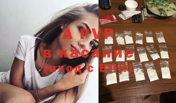 сатива Беломорск