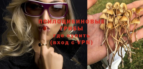 трава Белокуриха