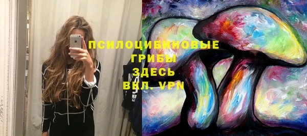 сатива Беломорск