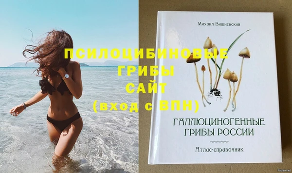 прущая мука Пестово
