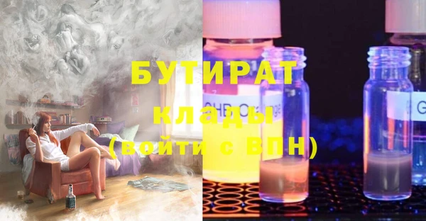 сатива Беломорск
