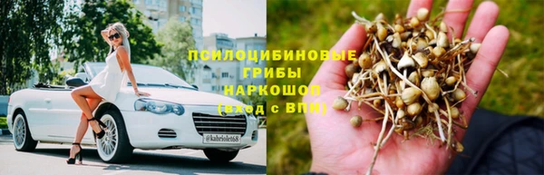 трава Белокуриха