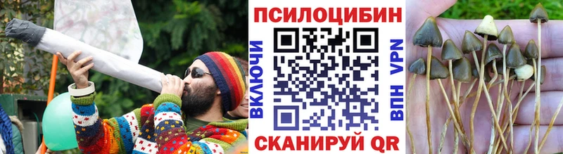 где купить наркоту  Ачхой-Мартан  Псилоцибиновые грибы Magic Shrooms 